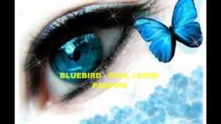 BLUEBIRD  ❤♫❤   PANPIPE - Album Flight Of Fancy