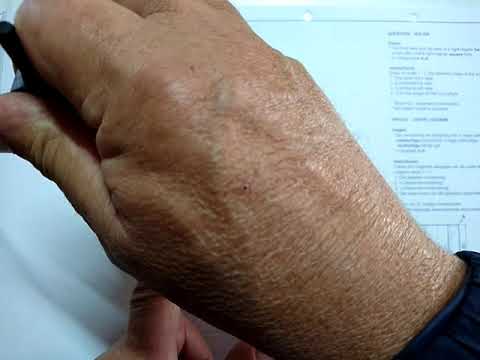 IGO GRAAD 11: 3 Junie 2020 - periode 1 (03111)