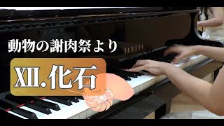 Download lagu サン=サーンス:《動物の謝肉祭(2台ピアノ)》より第12曲「化石」 mp3 Download lagu サン=サーンス:《動物の謝肉祭(2台ピアノ)》より第12曲「化石」 mp3