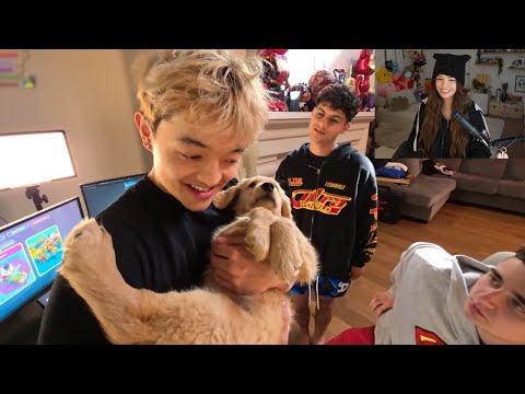 Valkyrae REACTS To BEST FaZe Clips!