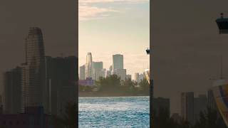 Norwegian Encore 🛳️ #like #share #comment #subscribe #cruiseship #cruise #vacation #shorts #short