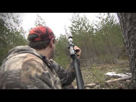 Älgjakt – Jazz och ståndskall (ur Del 3 av Jaktkunskap)