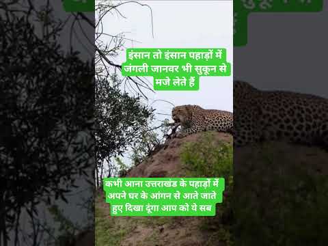 uttrakhand treval Uk12 dalbir Singh