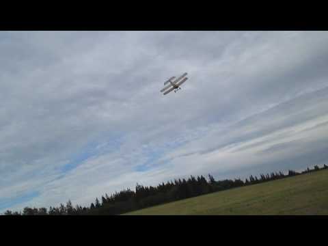 Sopwith Runabout landing in clover