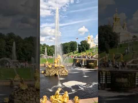 How to Get Drunk in Saint Petersburg (Travel Hack) #travel #russia #drink #saintpetersburg