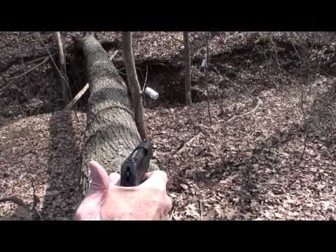 Ruger LC9 (Close Up)