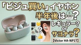 無自覚オーディオガジェット好きがビジュ買いした耳アクセイヤホンは半年後にレギュラーに残るの？【Victor HA-NP1T】