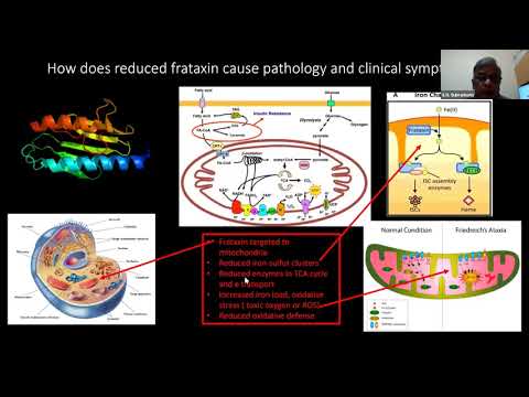 MDA Engage: Friedreich's Ataxia