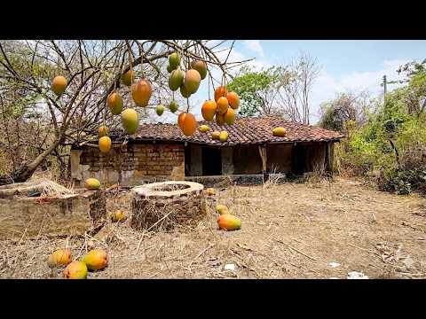 Casa Abandonada 🏚️ Señales Alusivas a Pandillas