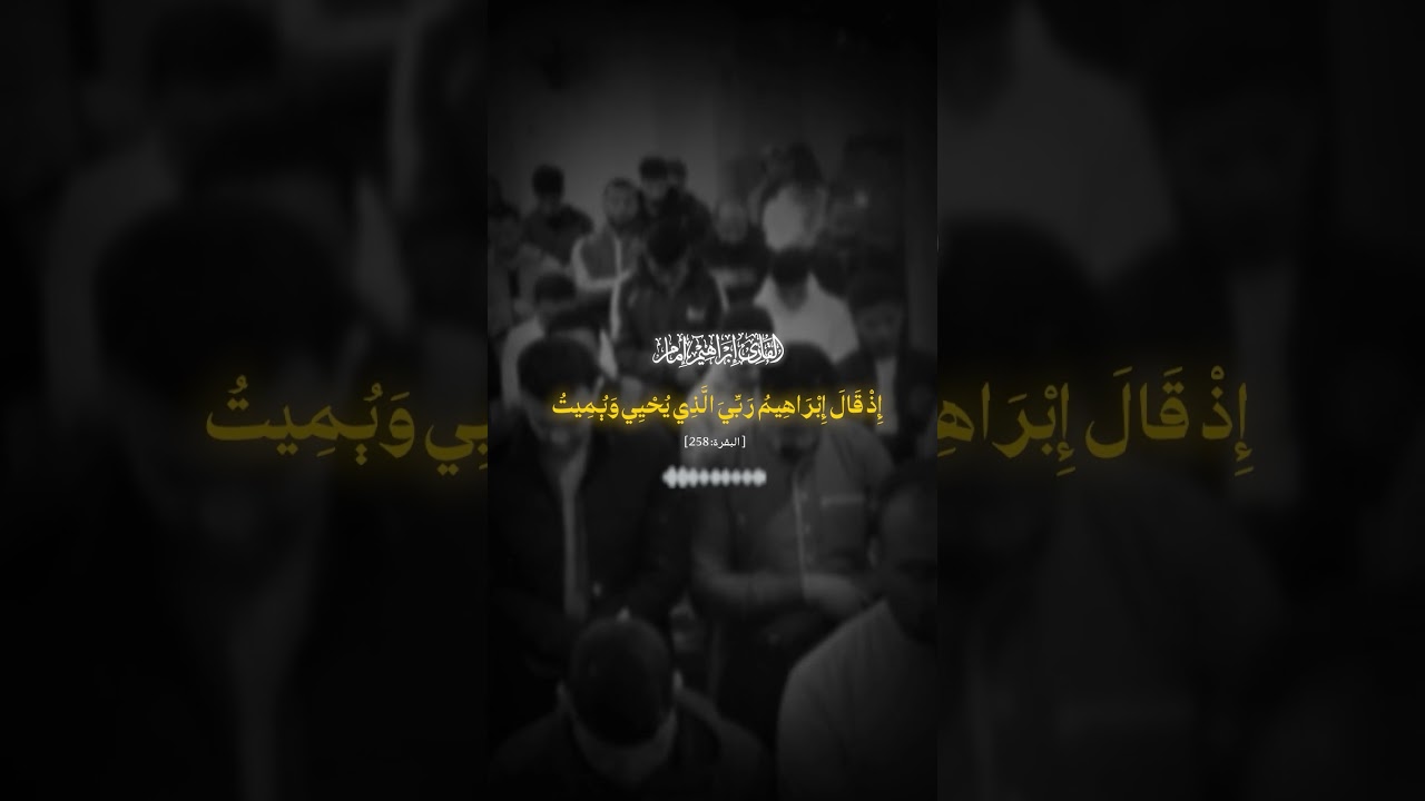 ألم ترَ إلى الذي حاجَّ إبراهيم في ربه؟ تلاوة خاشعة لقصة المناظرة الأعظم [00:01].