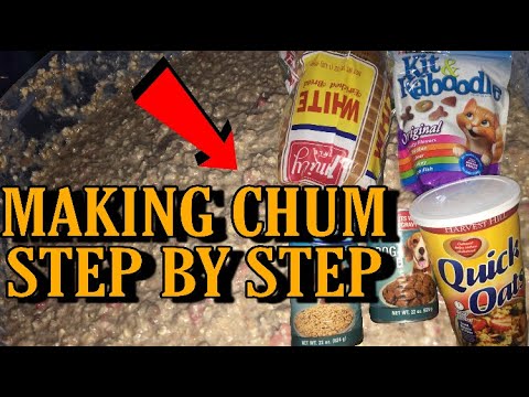 How To Make Saltwater Fish Chum | Oddly Satisfying