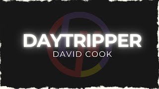DAVID COOK - DAYTRIPPER (karaoke)