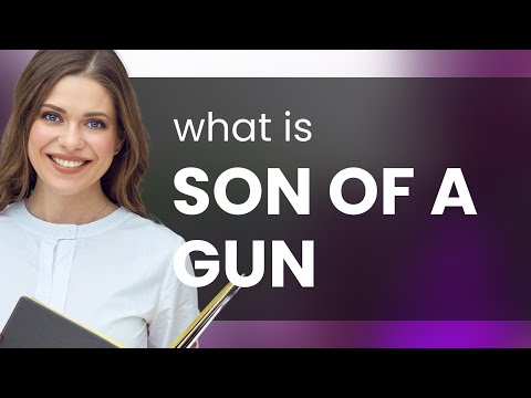 Understanding the Phrase "Son of a Gun"