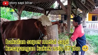 Download lagu kumpulan bakalan super calon monster #storysapiblitar #youtuberpemula mp3 Download lagu kumpulan bakalan super calon monster #storysapiblitar #youtuberpemula mp3