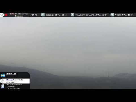 International live cameras and weather 🔴 LIVE Weather Service