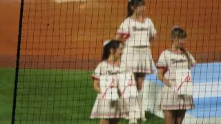 「東京ヤクルトスワローズ」 チアリーダー