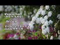 Whispering Hope(희망의 속삭임)/ Phil Coulter & photo by 모모수계