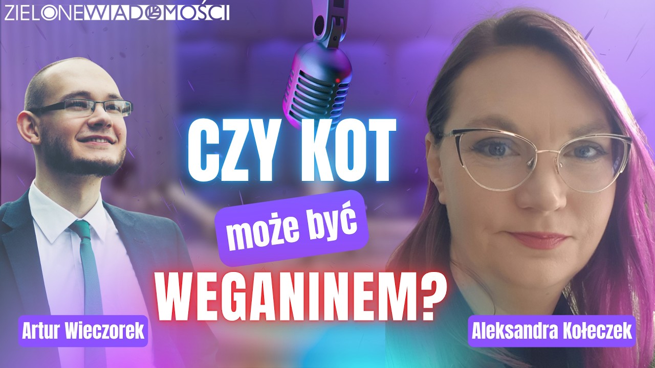 Wieczorek z kocią behawiorystką | Aleksandra Kołeczek