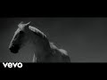 Beck, Sierra Ferrell - Ride Lonesome (Visualizer)