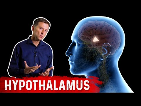 What is MTHFR – Dr Berg Explains in Simple Terms