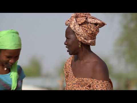 Un million de citernes pour le Sahel