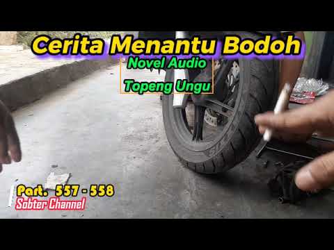 CMB 557-558 Topeng Ungu