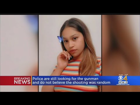 Woman Shot, Killed In SUV In Lowell