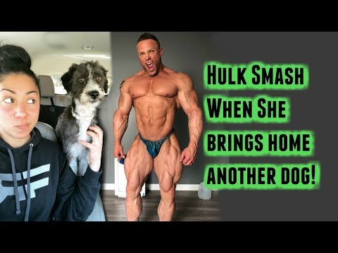 IFBB Pro Brad Rowe "Driven" Part 3- A Day In The Lfe