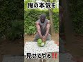 Watermelon chopping スイカ割り