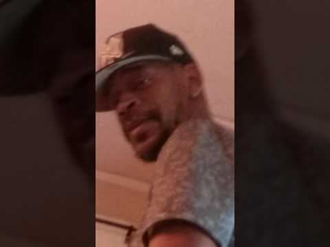 We got a doggy fight