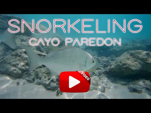 Snorkeling Cayo Paredon Grande