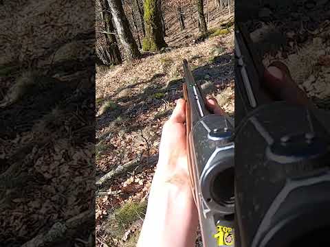 Tir d'un cerf en battue par Mathieu Combes - Red stag Shot #top10 #hunting