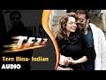 Tezz Tere Bina Indian Full Audio Song Ajay Devgn Kangana Ranaut