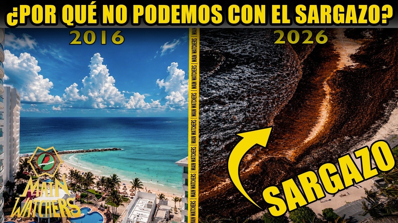 Por qué México NO le PUEDE GANAR al Sargazo?