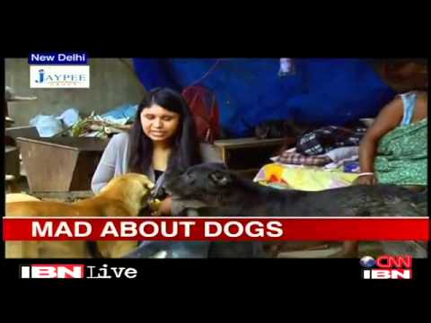 Delhi  Ragpicker Becomes Saviour Of Stray Dogs