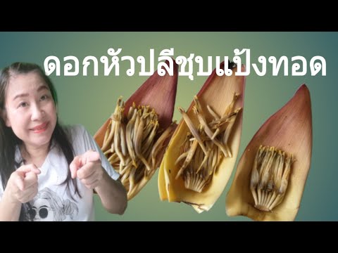 คลิกเพื่อดูคลิปวิดีโอ