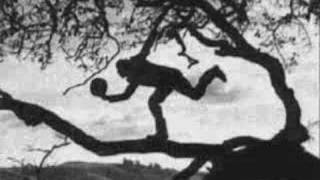 Tom Waits - &#39;On The Other Side Of the World&#39;