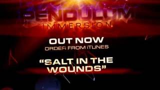 Pendulum - Immersion - 02 - Salt in the Wounds