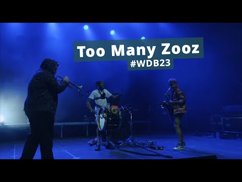 Too Many Zooz – Live at Woodstock der Blasmusik 2023