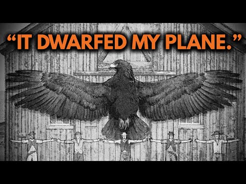 Giant Birds in America: Why Thunderbird is More Than Myth