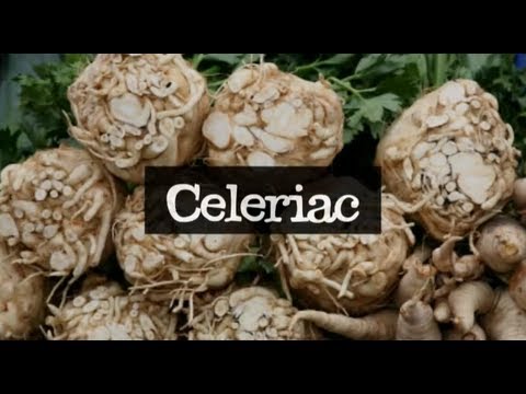 Celeriac, Organic