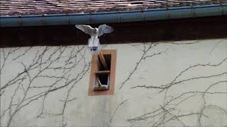 Das dritte und der letzte Abflug