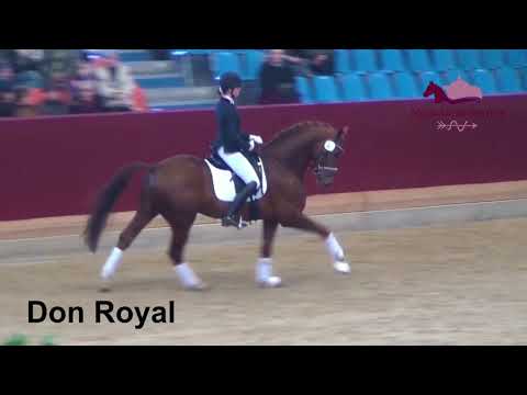Don Royal v. Don Juan de Hus - Rubin Royal