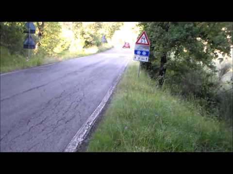 37° Rally Alta Val di Cecina 2015 R. Ferrari - R. Meconi Citroen Saxo S1600