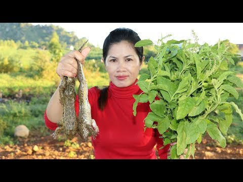 Awesome Cooking Frog With Vegetable Recipe -  Cook Frog Recipes -  Village Food Factory