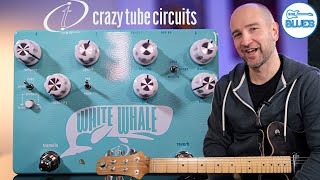 Video thumbnail for Crazy Tube Circuits White Whale V2 Review! Best of 2024! by intheblues