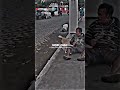Dog S Love Status ️Sigma Rule Shorts Inspiration Status Motivation Inspiration Emotional