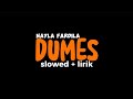 DUMES - NAYLA FARDILA (LIRIK + SLOWED)