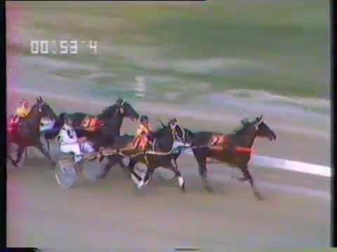 1984 Interdominions - Pacers' 5th Heat, Globe Derby Park: Not Before Time