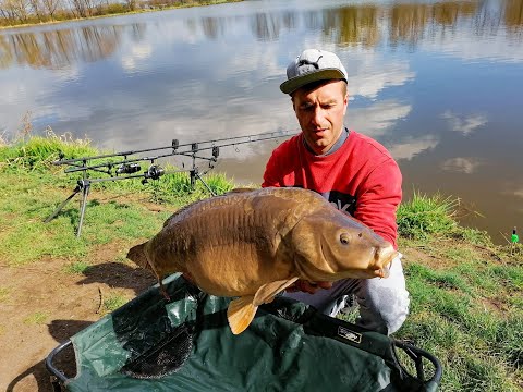 Łowisko Rusiec - wiosenne karpie 16+